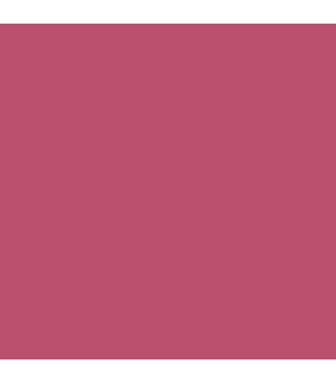 Barra de Labios Matte Poudre Lipstick 3 ml