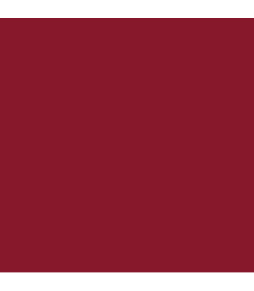 Barra de Labios Matte Poudre Lipstick 3 ml